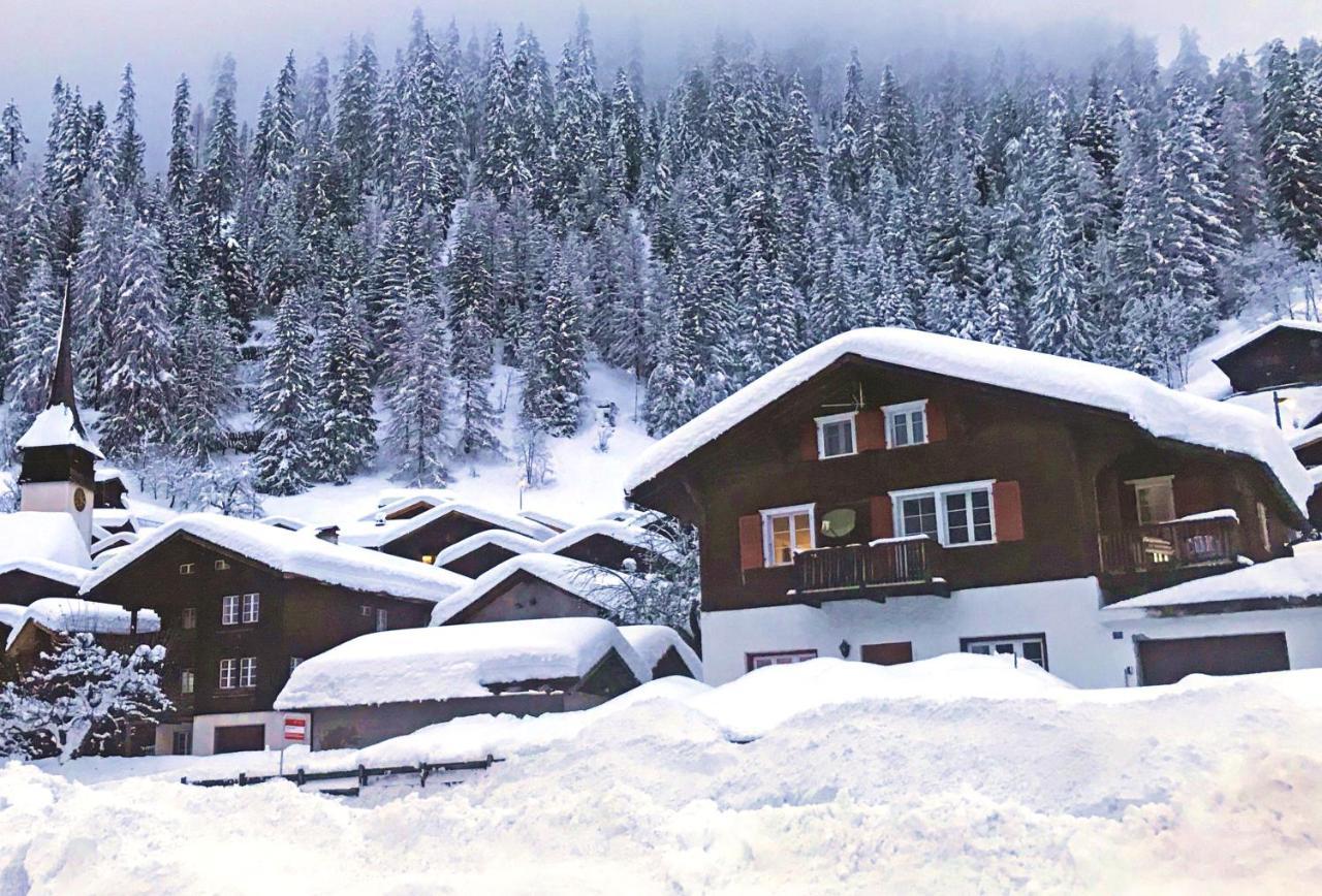 Haus Bortis Apartment Goms Exterior photo