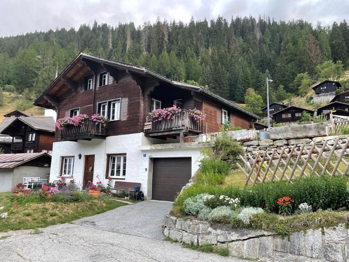 Haus Bortis Apartment Goms Exterior photo